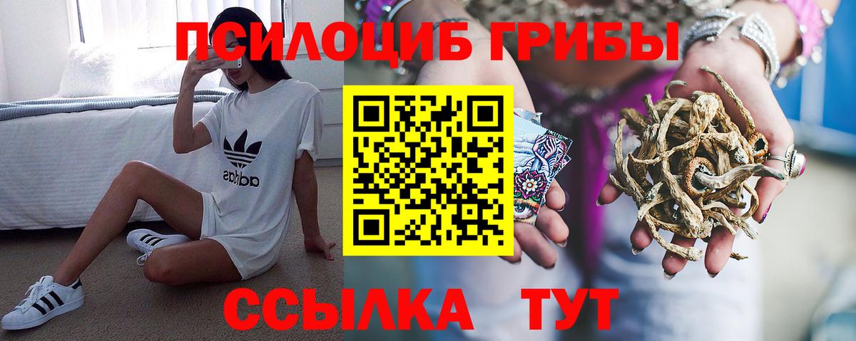 Псилоцибиновые грибы GOLDEN TEACHER Богданович
