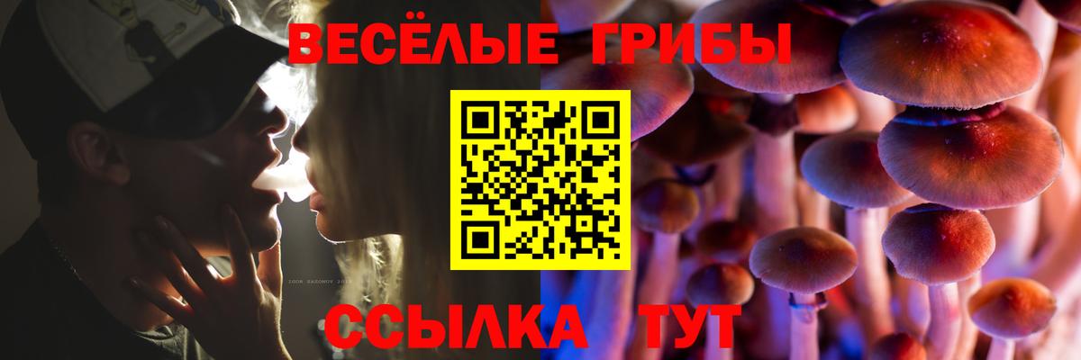 Галлюциногенные грибы Psilocybe  Вход с VPN  Богданович  Псилоцибиновые грибы MAGIC MUSHROOMS 